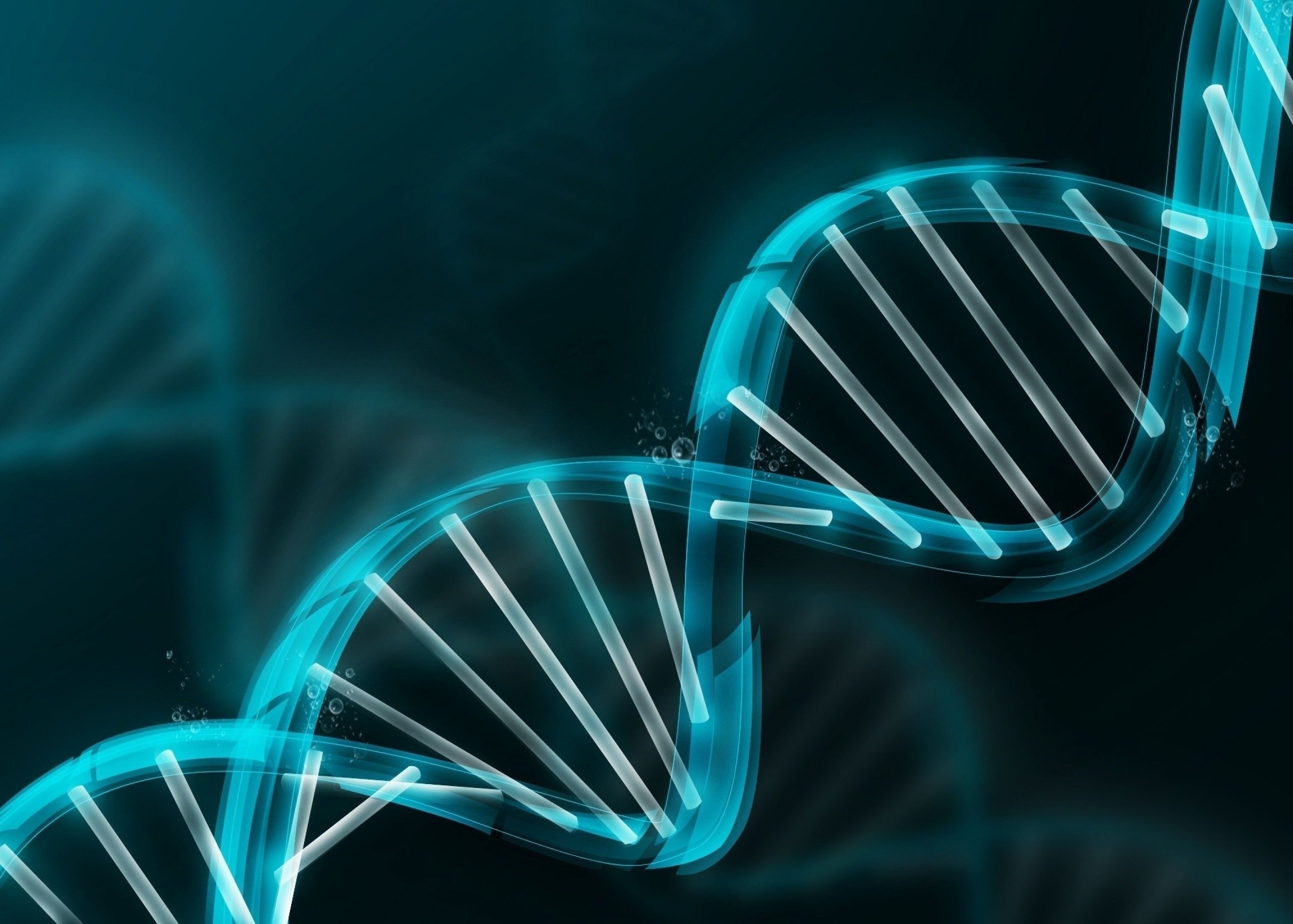 DNA Alignment